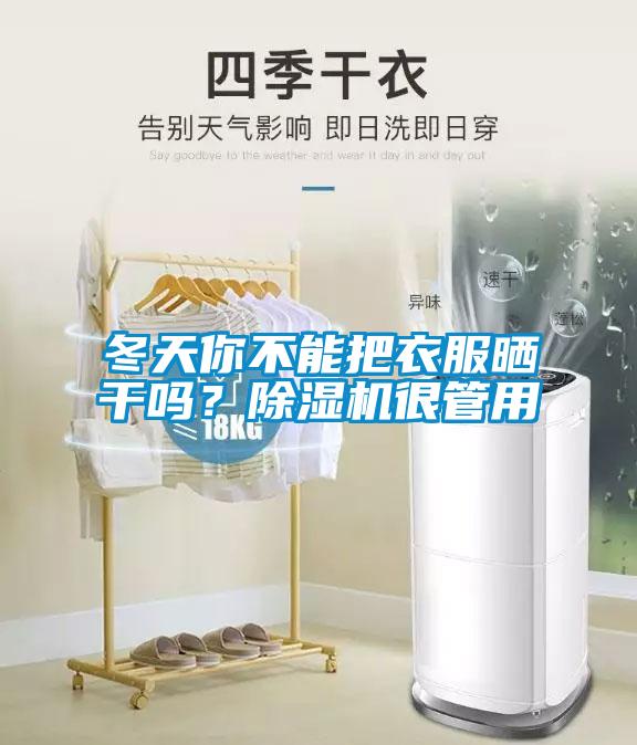 冬天你不能把衣服曬干嗎？除濕機很管用