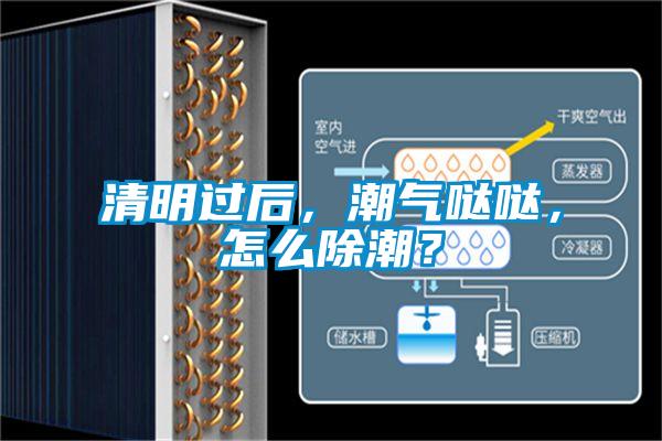清明過(guò)后，潮氣噠噠，怎么除潮？