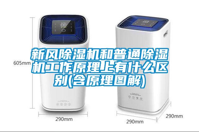 新風除濕機和普通除濕機工作原理上有什么區(qū)別(含原理圖解)