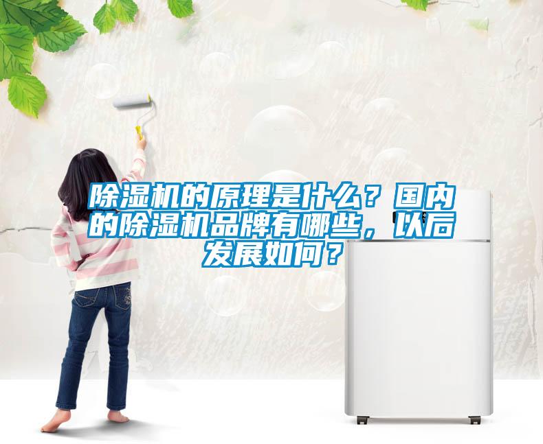 除濕機的原理是什么？國內的除濕機品牌有哪些，以后發(fā)展如何？