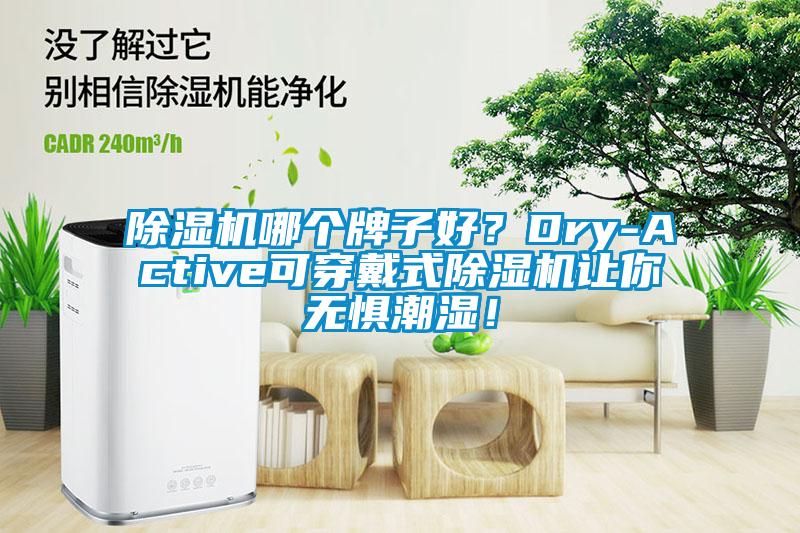 除濕機哪個牌子好？Dry-Active可穿戴式除濕機讓你無懼潮濕！