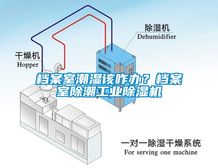 檔案室潮濕該咋辦？檔案室除潮工業(yè)除濕機(jī)