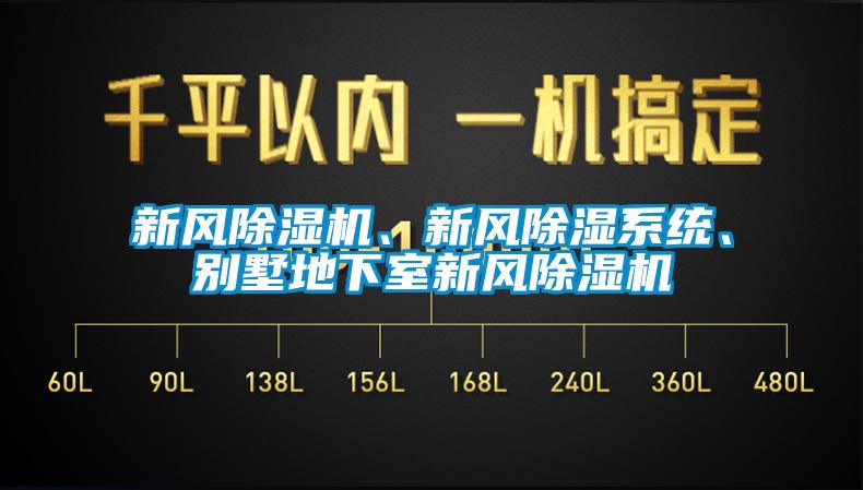 新風(fēng)除濕機(jī)、新風(fēng)除濕系統(tǒng)、別墅地下室新風(fēng)除濕機(jī)