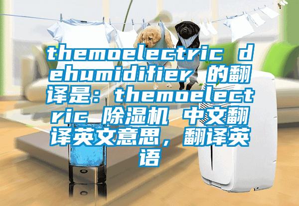 themoelectric dehumidifier 的翻譯是：themoelectric 除濕機 中文翻譯英文意思，翻譯英語