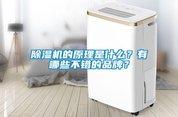 除濕機的原理是什么？有哪些不錯的品牌？