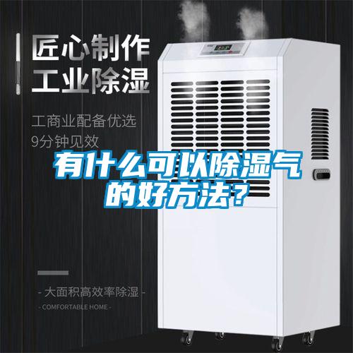 有什么可以除濕氣的好方法？