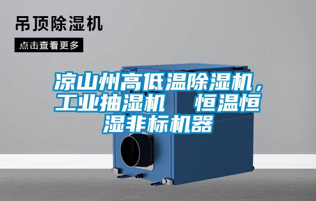 涼山州高低溫除濕機，工業(yè)抽濕機  恒溫恒濕非標機器