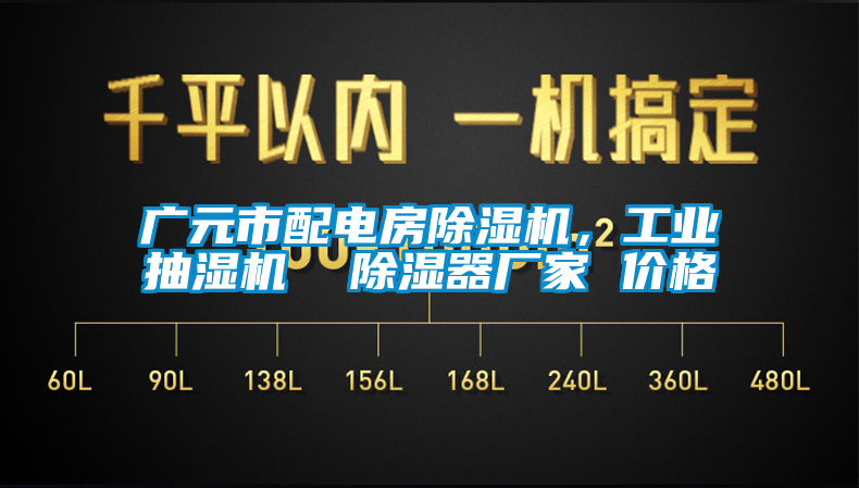 廣元市配電房除濕機，工業(yè)抽濕機  除濕器廠家 價格