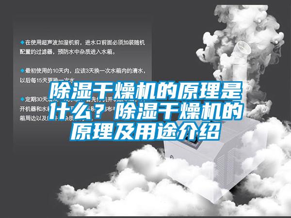 除濕干燥機的原理是什么？除濕干燥機的原理及用途介紹