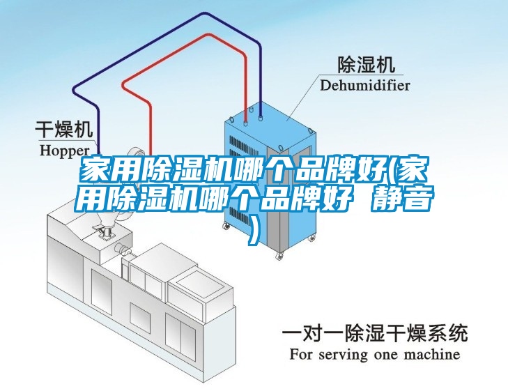 家用除濕機(jī)哪個品牌好(家用除濕機(jī)哪個品牌好 靜音)