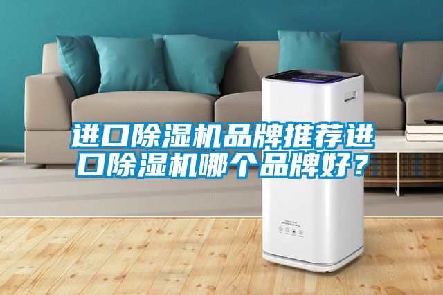 進口除濕機品牌推薦進口除濕機哪個品牌好？