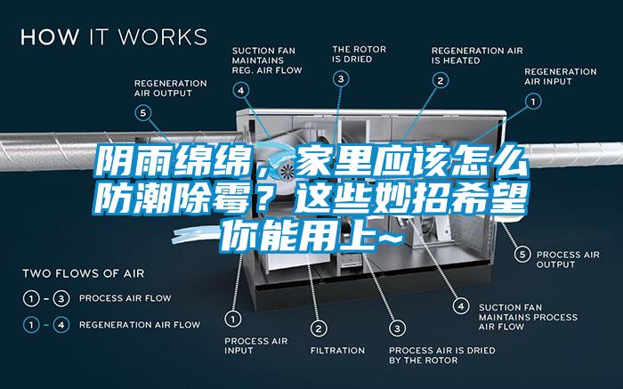 陰雨綿綿，家里應該怎么防潮除霉？這些妙招希望你能用上~