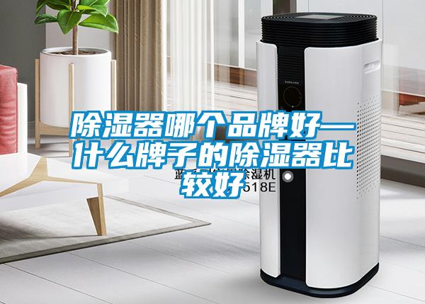 除濕器哪個(gè)品牌好—什么牌子的除濕器比較好