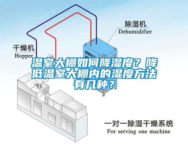 溫室大棚如何降濕度？降低溫室大棚內(nèi)的濕度方法有幾種？