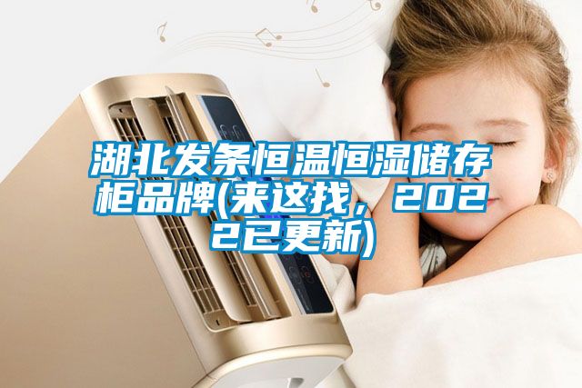 湖北發(fā)條恒溫恒濕儲存柜品牌(來這找，2022已更新)