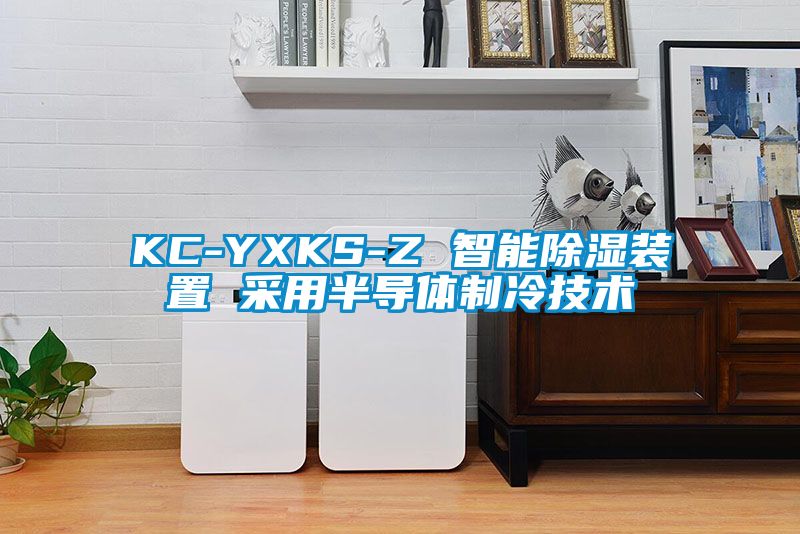 KC-YXKS-Z 智能除濕裝置 采用半導(dǎo)體制冷技術(shù)