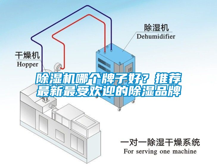 除濕機(jī)哪個(gè)牌子好？推薦最新最受歡迎的除濕品牌