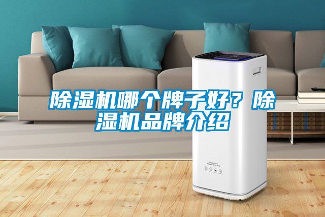 除濕機(jī)哪個牌子好？除濕機(jī)品牌介紹