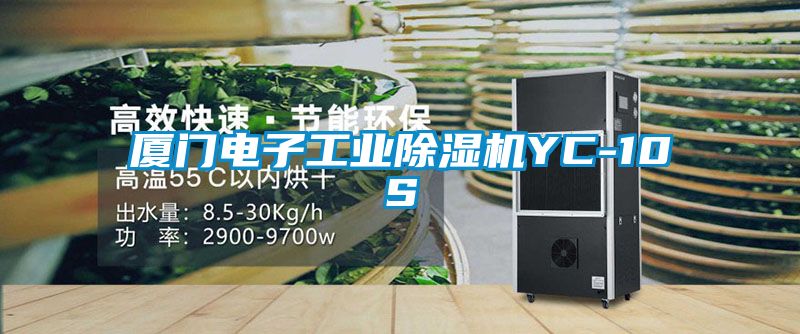 廈門電子工業(yè)除濕機YC-10S