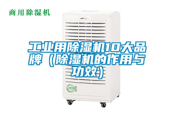 工業(yè)用除濕機10大品牌（除濕機的作用與功效）