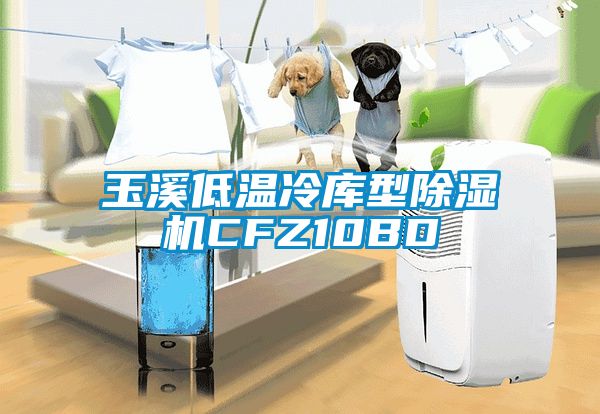 玉溪低溫冷庫型除濕機(jī)CFZ10BD